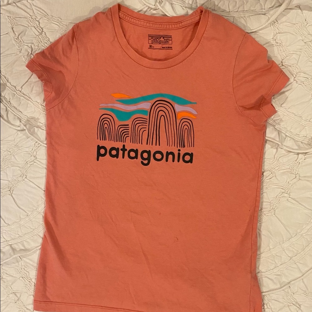 Patagonia Mountain Tee
